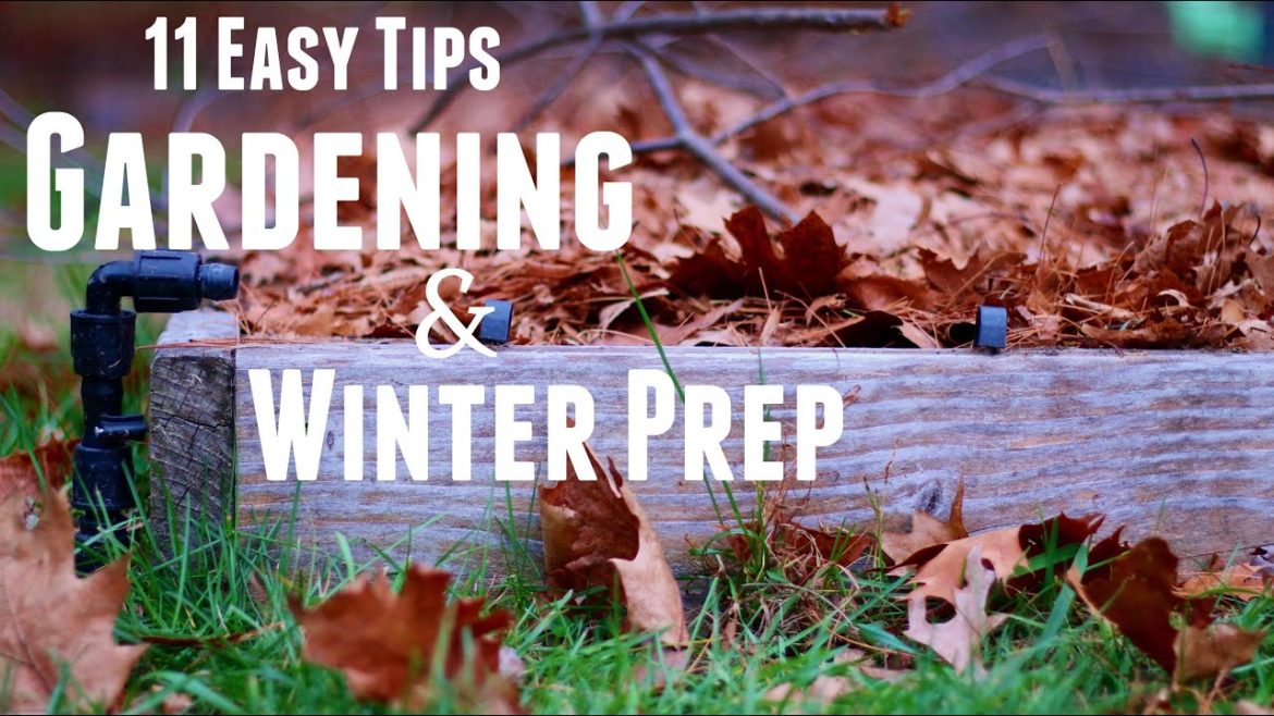 Prepare Your Garden for Winter in 11 Easy Steps | Winterizing Raised Garden Beds for Spring Prepare Your Garden for Winter in 11 Easy Steps | Winterizing Raised Garden Beds for Spring