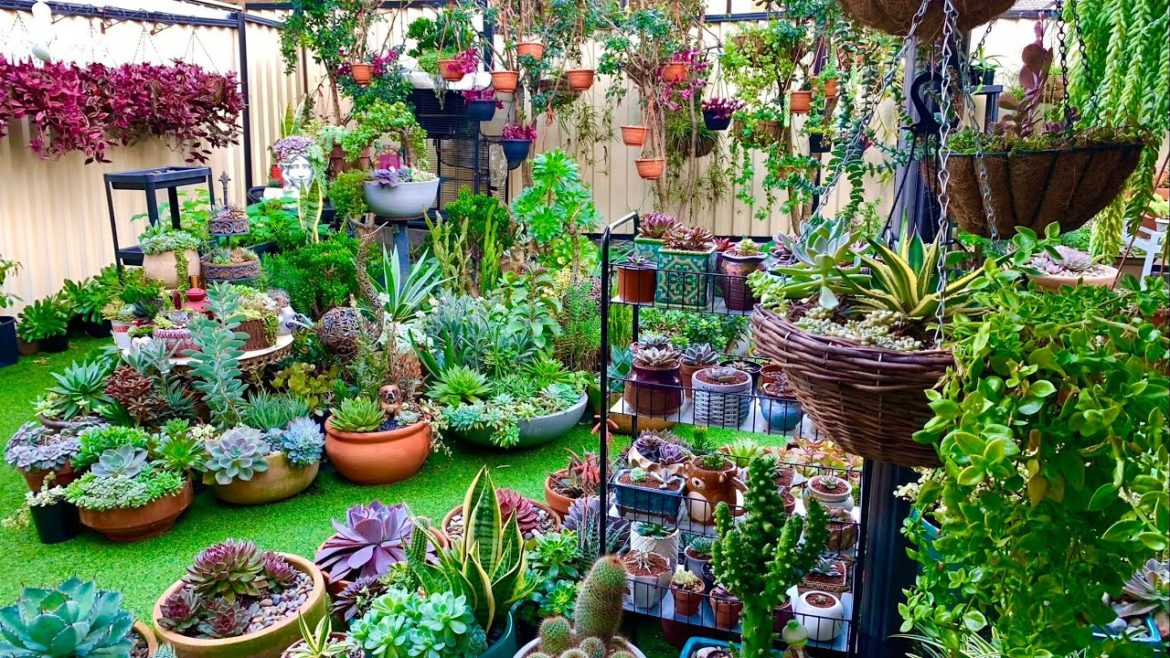 My Backyard Garden Tour Revisited