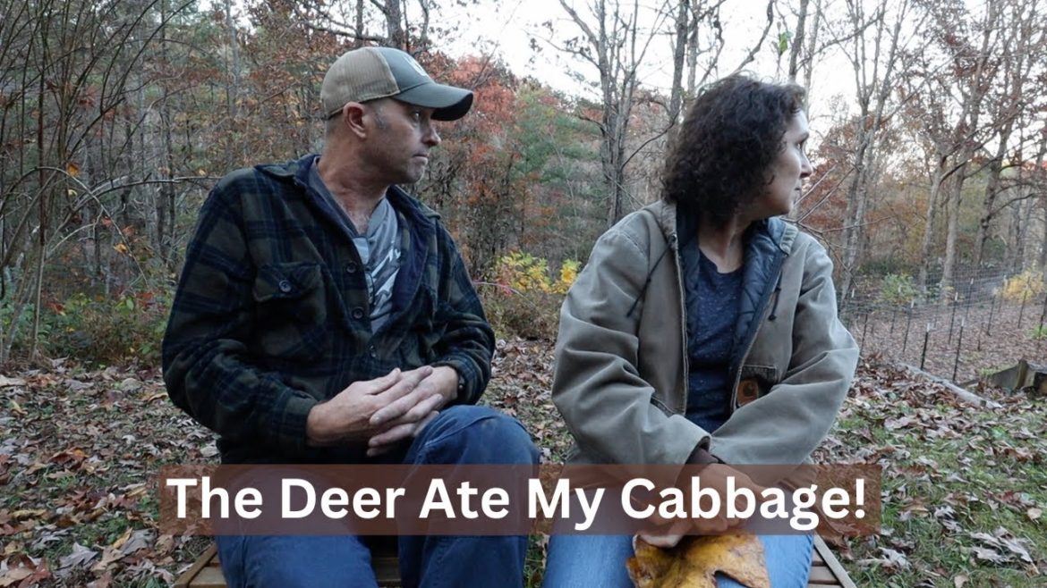 Cleaning Out Garden Beds, Saving Seeds, & Our First Ever Deer Damage Cleaning Out Garden Beds, Saving Seeds, & Our First Ever Deer Damage