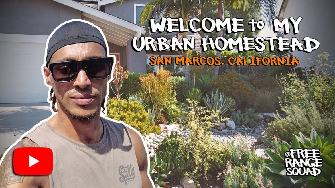 How to Turn a Lawn Into a Waterwise Urban Homestead | San Marcos, California How to Turn a Lawn Into a Waterwise Urban Homestead | San Marcos, California