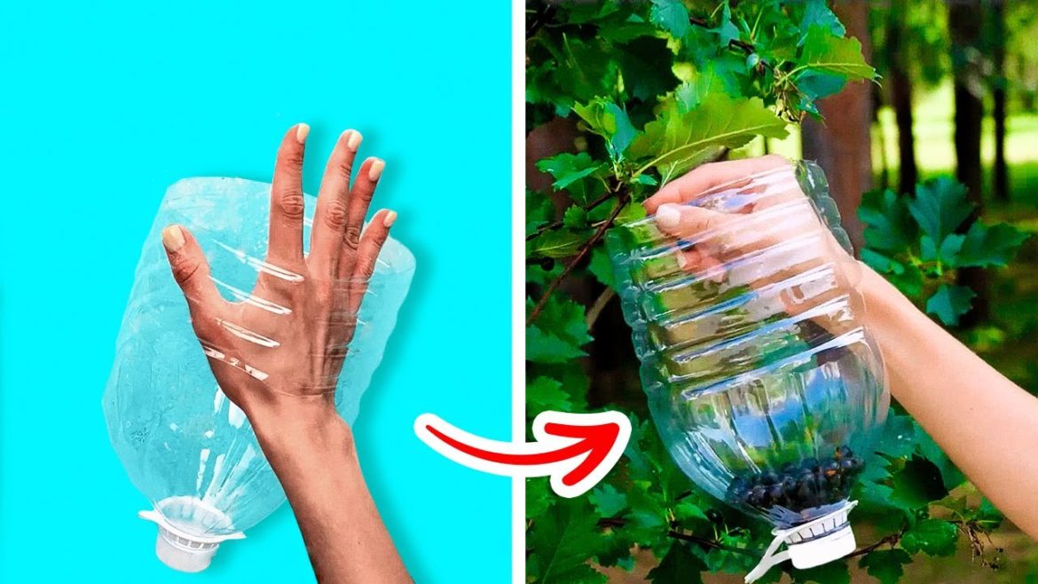 35 Useful Crafts For Your Garden || Gardening Tips You Wish You Knew Before 35 Useful Crafts For Your Garden || Gardening Tips You Wish You Knew Before