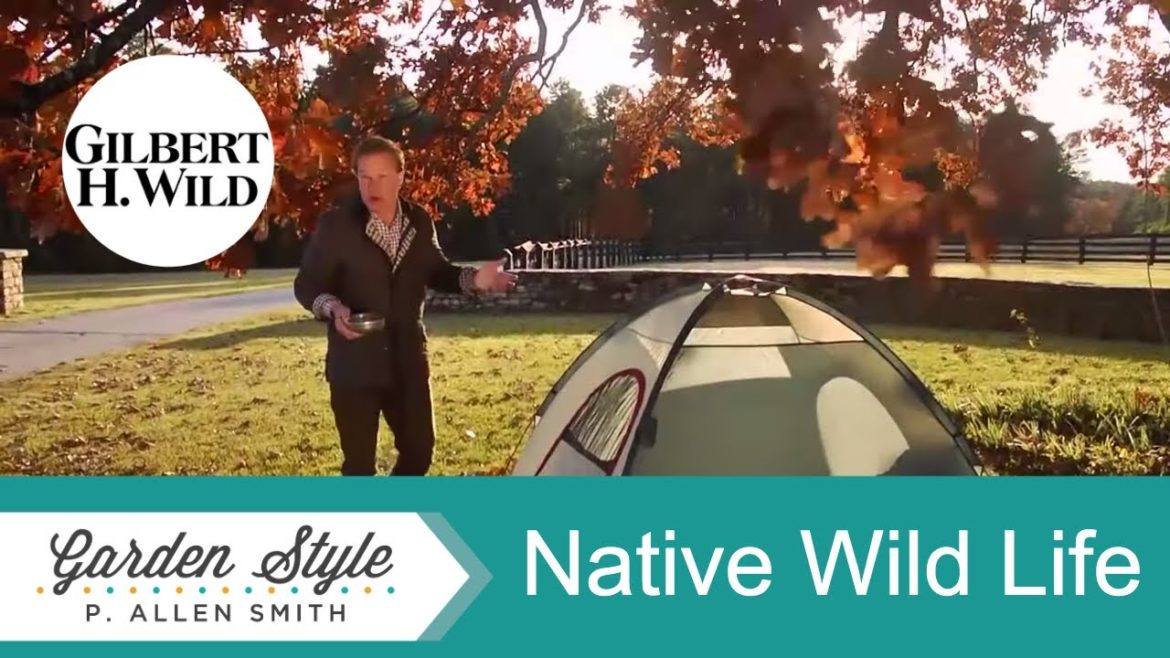 Preserving Native Wild Plants & Animals | Garden Style (1508)