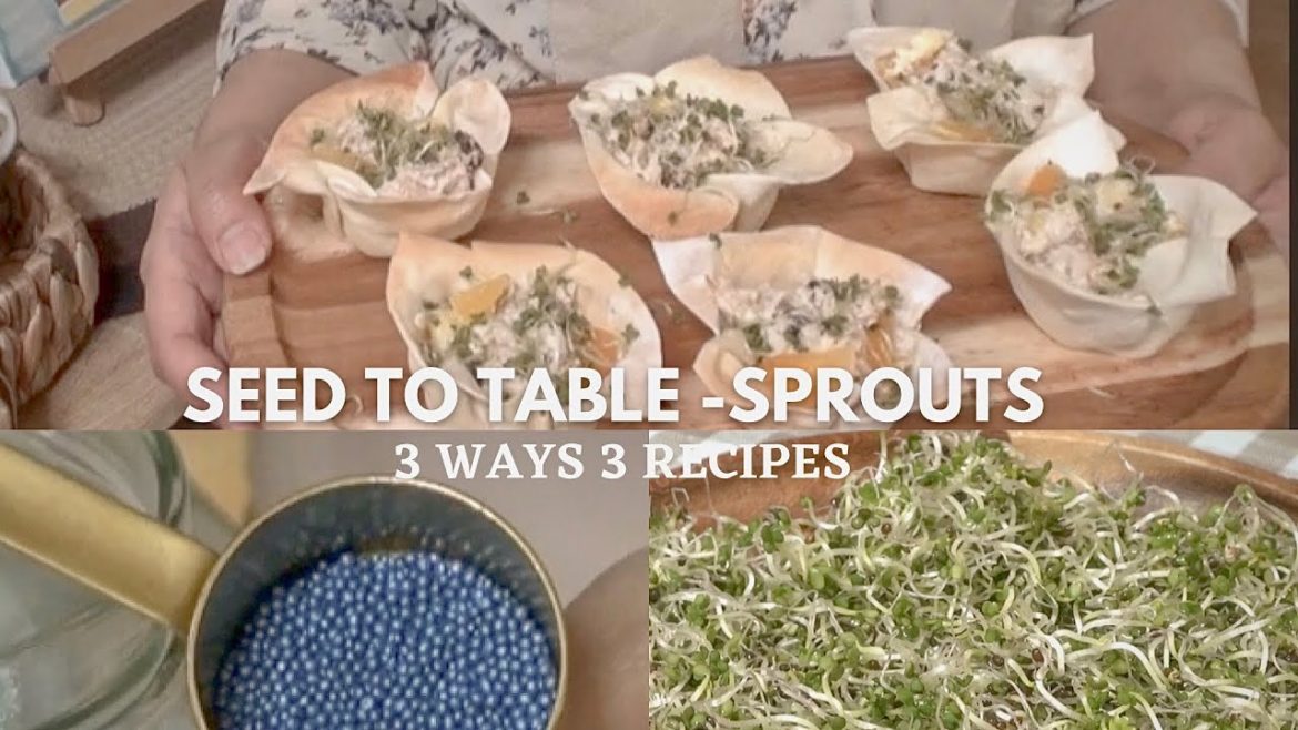 The Easiest Way to Start an Indoor Edible Garden|Seed to Table - SPROUTS l lSilent Vlog #45