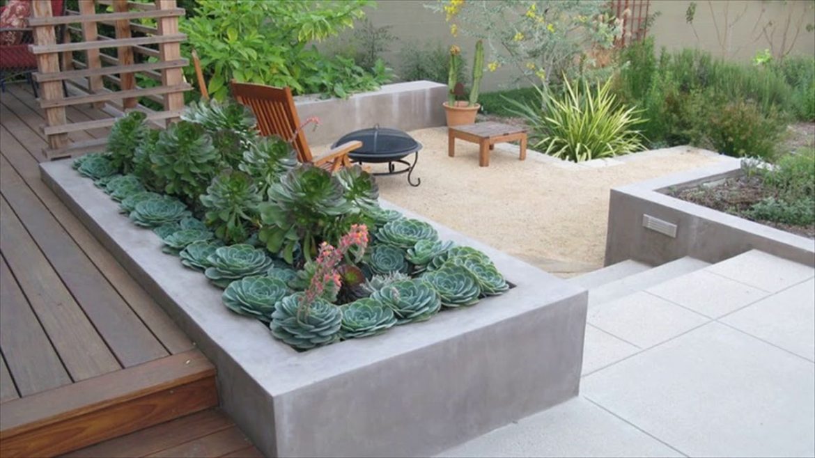 How To Desert Landscape Your Yard