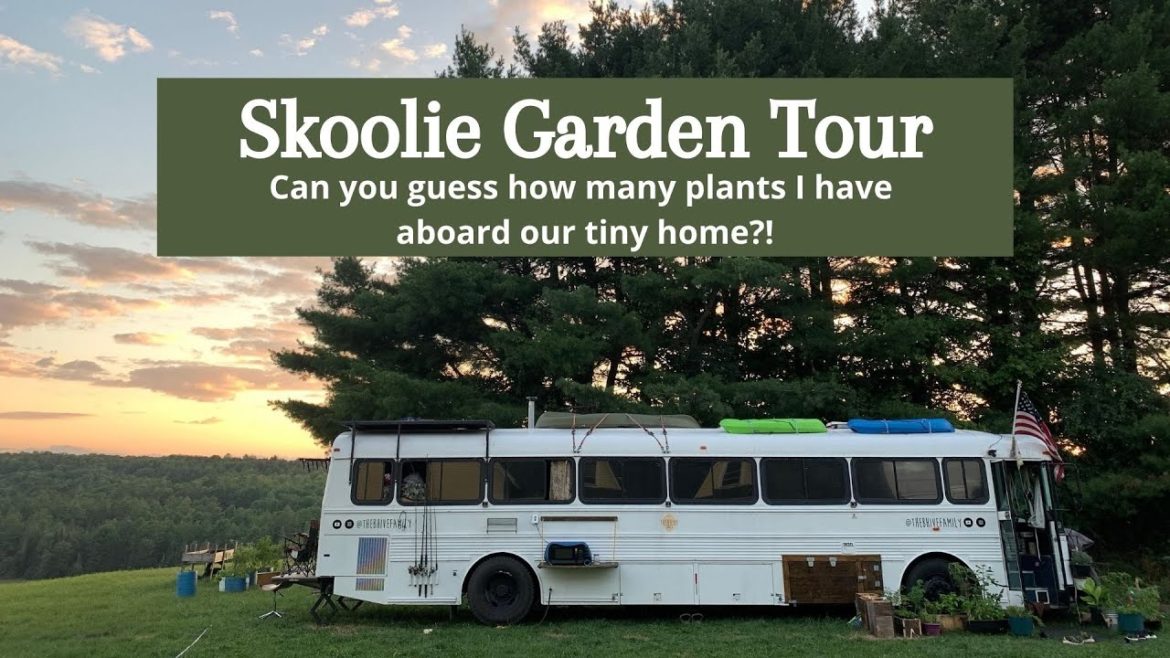It's All Experimental ! Skoolie Garden Tour: Edible & Medicinal Travel Garden It's All Experimental ! Skoolie Garden Tour: Edible & Medicinal Travel Garden