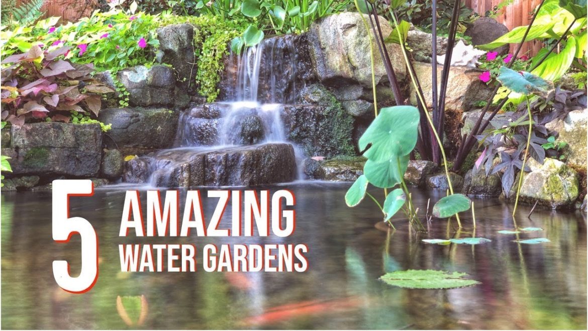 WATER GARDEN TOUR – 5 Incredible Koi Ponds | Fountainscapes WATER GARDEN TOUR - 5 Incredible Koi Ponds | Fountainscapes
