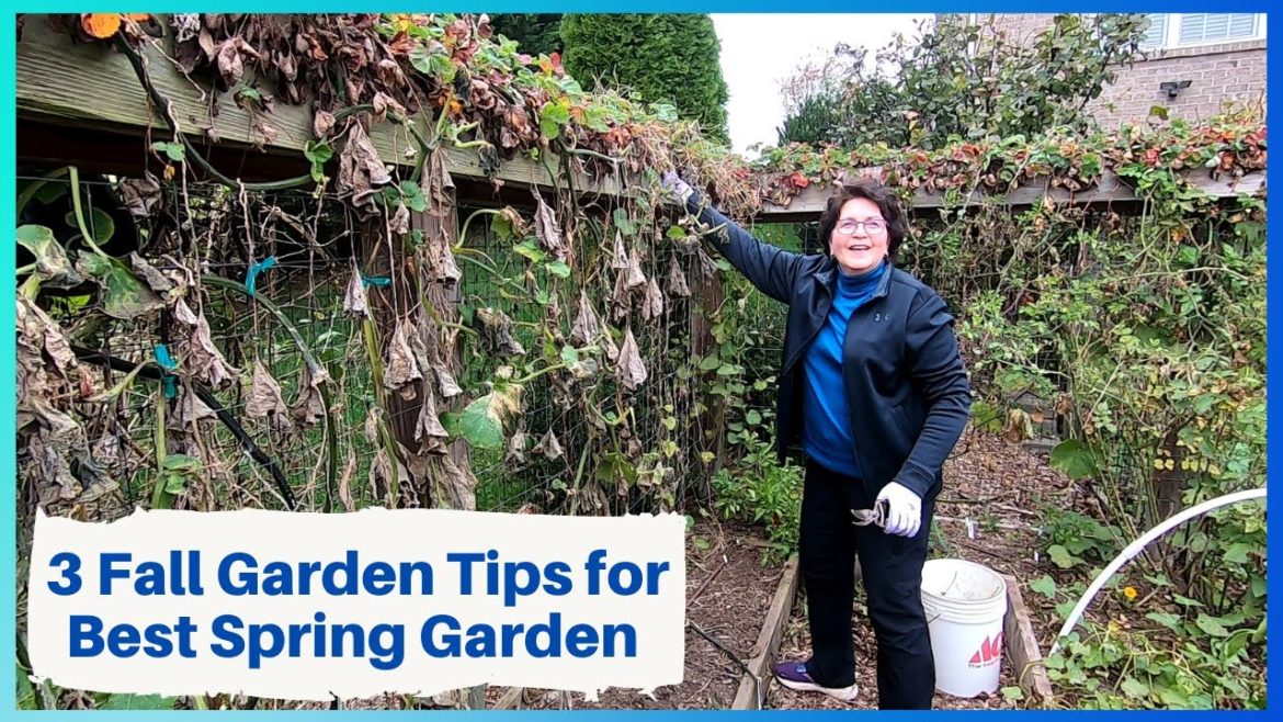 3 Fall Tips for Best Spring Garden