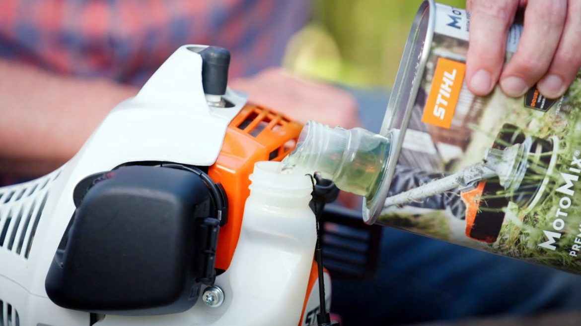 The Garden Gurus - Your Garden Problems Solved