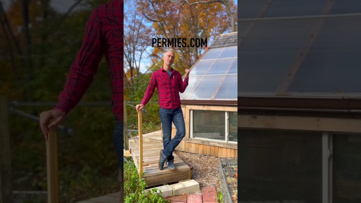 Permaculture Gardening Masterclass!