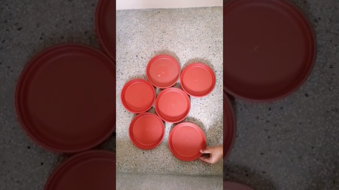 Garden Shopping!! Shopping of Pot trays #viral #trending #viralshorts  #shortsvideo #shorts