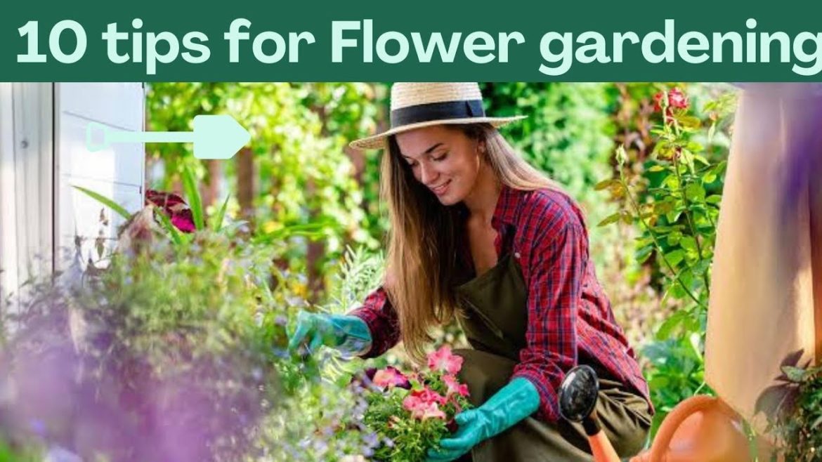 Top 10 Beautiful  Flowers garden grow ideas Everybody should follow