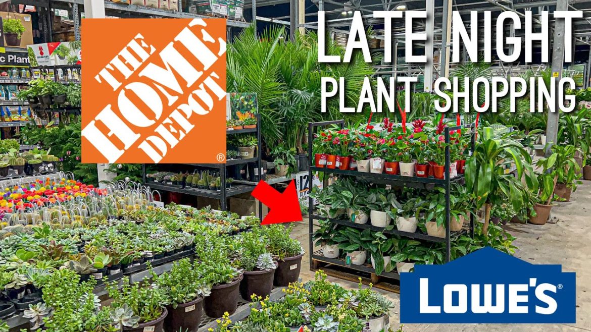 Going to Multiple Big Box Stores Late Night Plant Shopping at Lowes & Home Depot 🪴