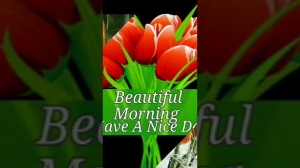 #my #garden in #flower #and #vegetables #grow #with #2022 #my #garden in #flower #and #vegetables #grow #with #2022