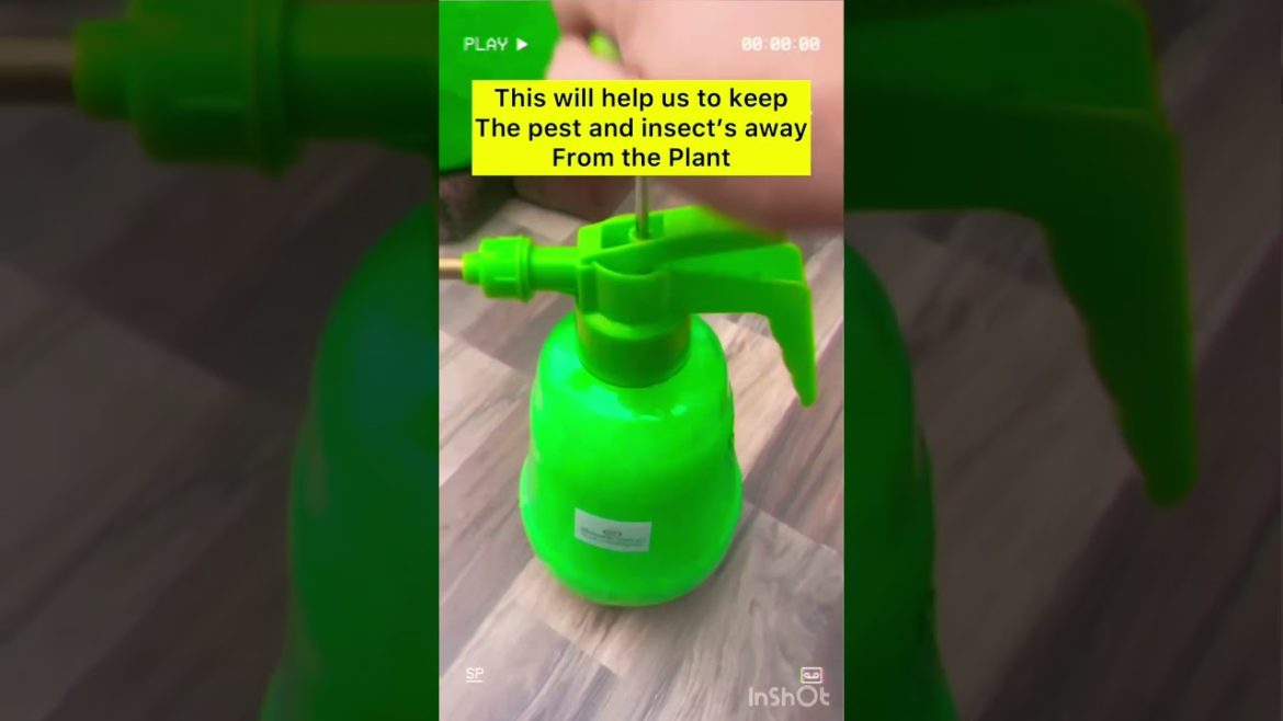 OMG Finally Got Something For You | Pest Control | Organic Vegetables |