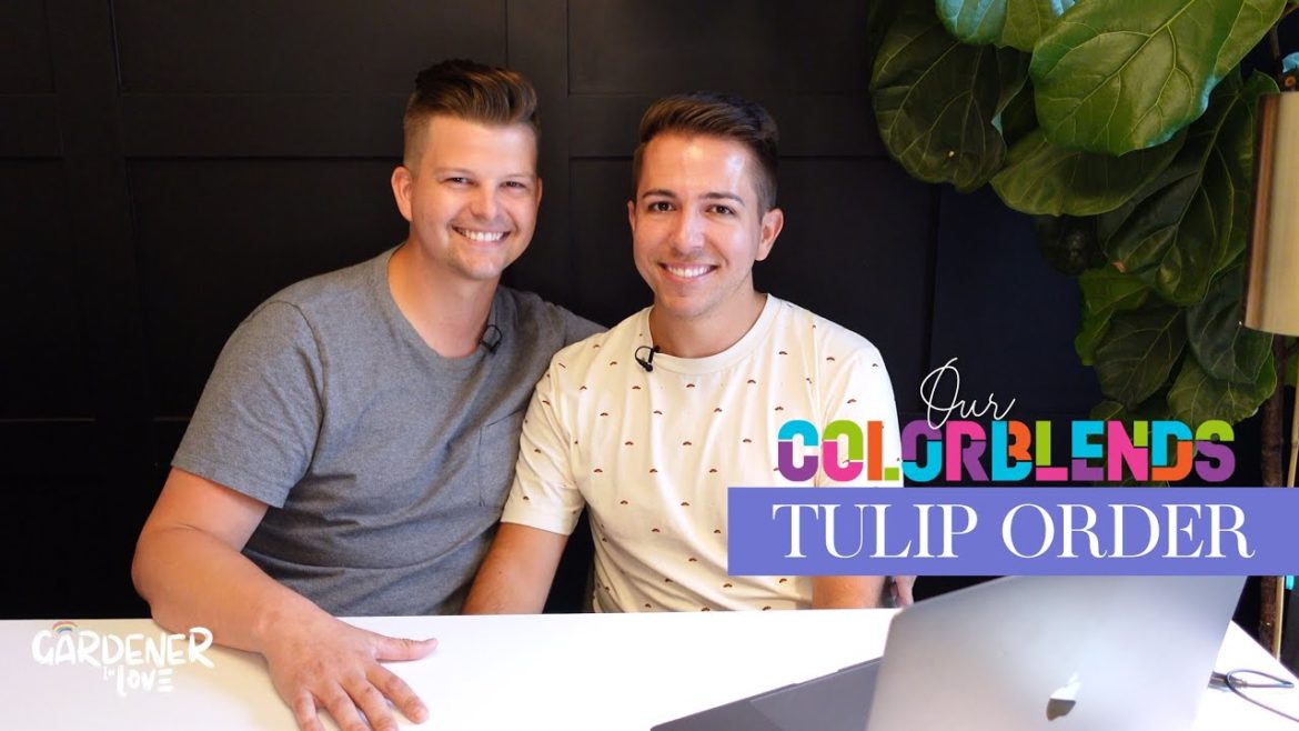 Our Colorblends Tulip Order | Growing Tulips in the South | Gardener in Love