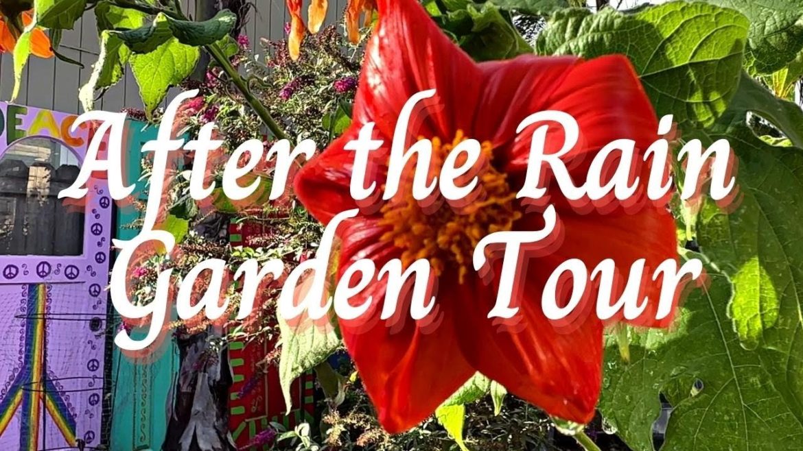 Peaceful Rainy Day Garden Tour π¦πΏ Calm & Refreshing! Peaceful Rainy Day Garden Tour π¦πΏ Calm & Refreshing!