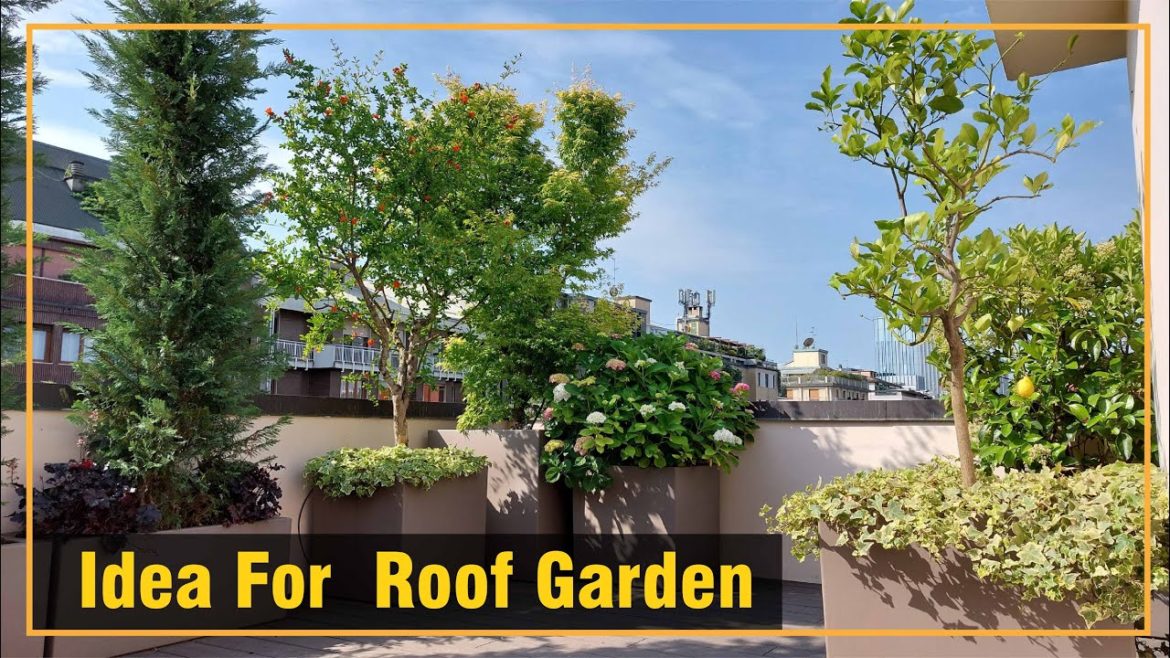 How To Grow London Roof Gardens: gardens from rooftops