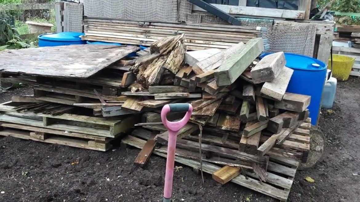 Christmas Potatoes ๐ป Gravity Wick Guttering System ๐ป Pallet Collar Raised Beds ๐ป Wildlife Hotel Christmas Potatoes ๐ป Gravity Wick Guttering System ๐ป Pallet Collar Raised Beds ๐ป Wildlife Hotel