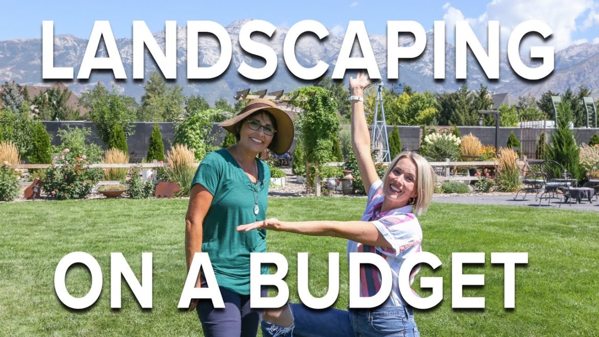 Tips for Landscaping on a Budget