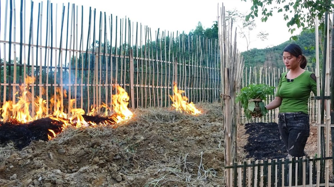 Vegetable gardening, growing vegetables, bamboo fence - wilderness alone, solo building