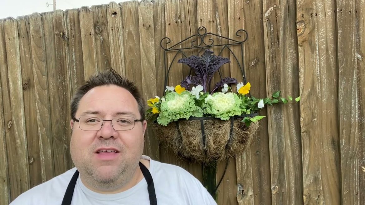 Planting winter containers and a cool garden apron!