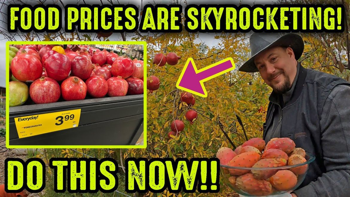 WARNING! Food Prices Are SKYROCKETING!! Do This NOW!!!