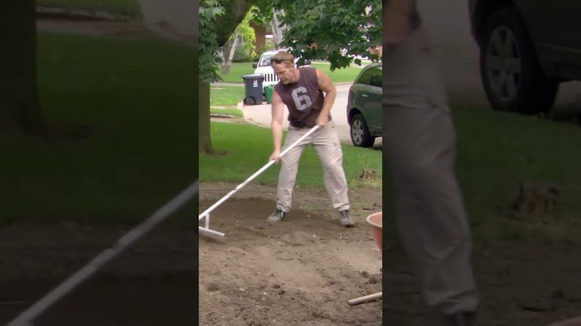 Landscaping The New Houseš”  #shorts Landscaping The New Houseš”  #shorts