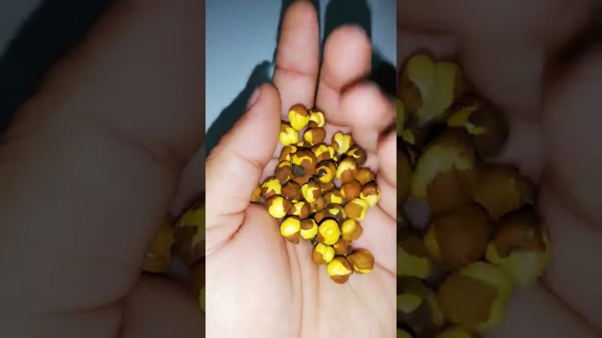 My Small Beautiful Home Garden Raining In My Backyard #shorts #garden