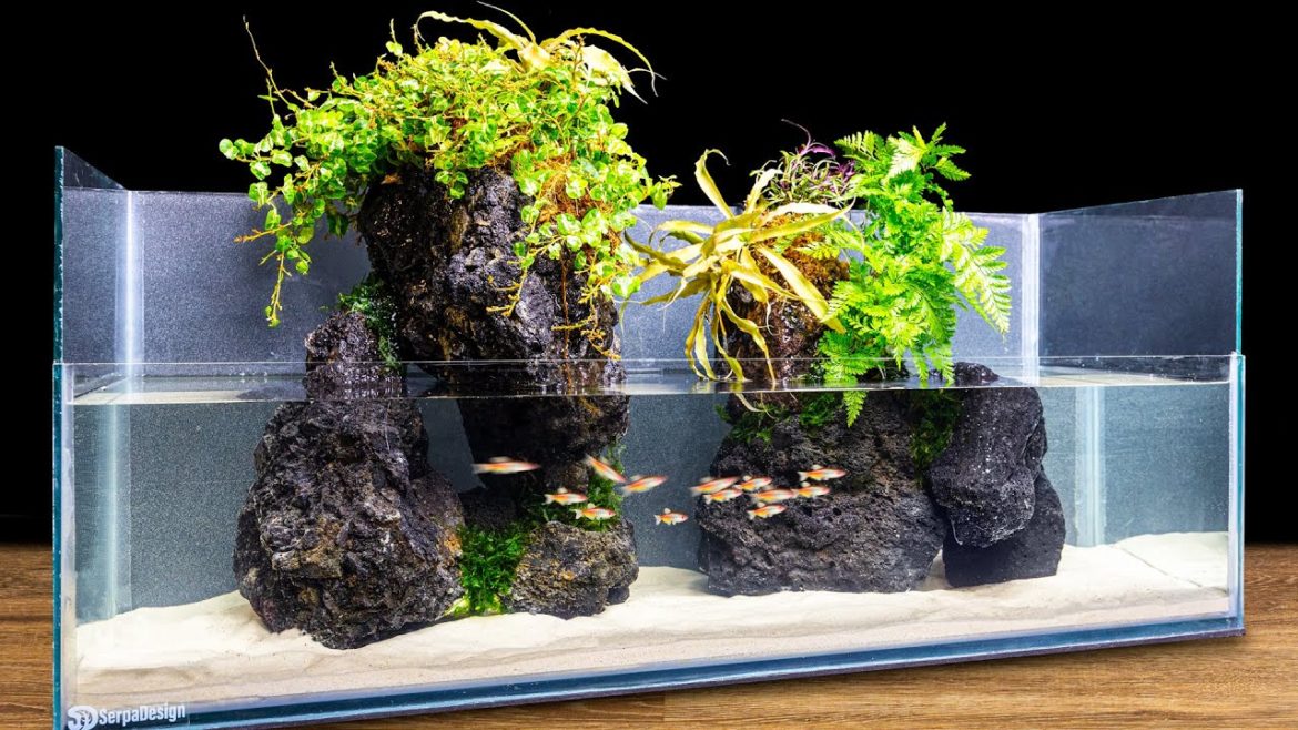 Minimalist Mountain Islands Paludarium (Rock Filtered) Minimalist Mountain Islands Paludarium (Rock Filtered)