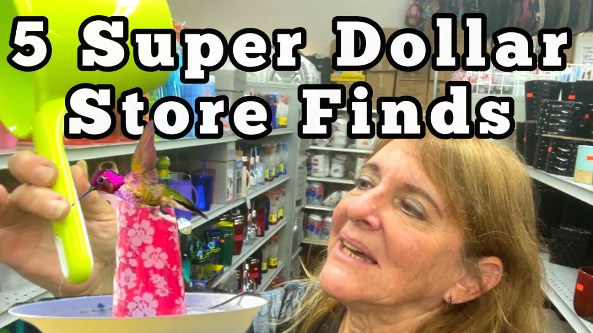 Garden & Hummingbird DEALS from Dollar Store Finds for Gardening Needs & Solar Fountain Birdbath DIY