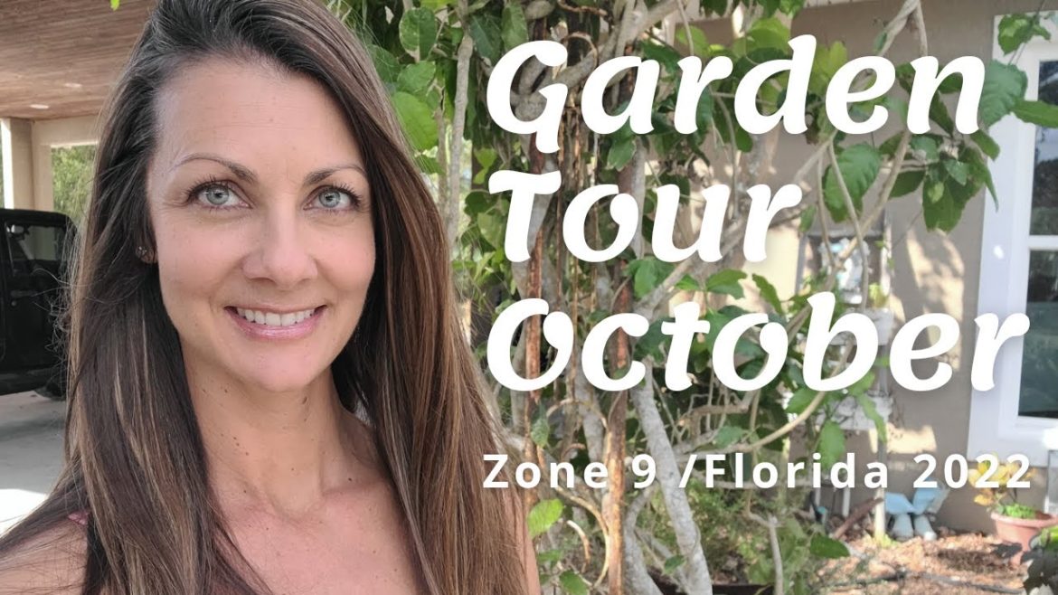 Vegetable Garden Tour | Zone 9 Garden Tour Florida | October 2022