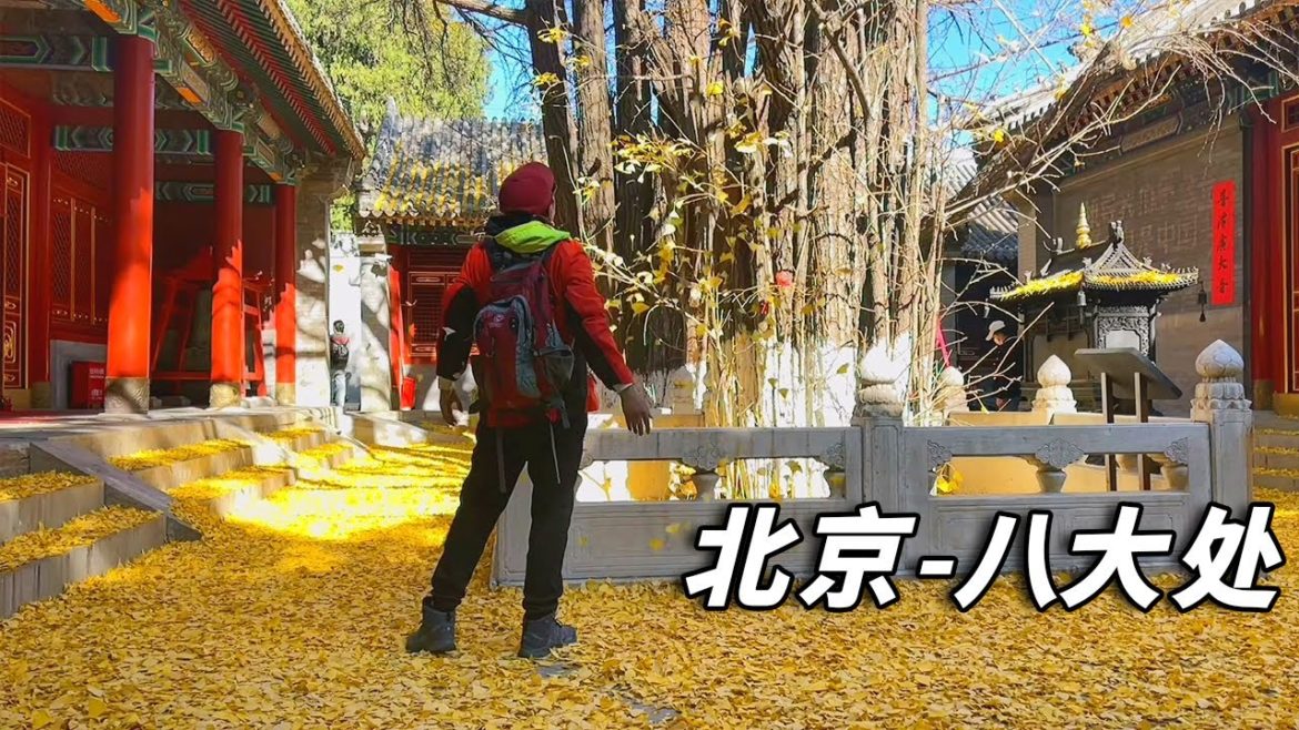 北京赏秋之旅～重游千年古刹八大处，在800年古树下静思【行走世界的北京老刘】