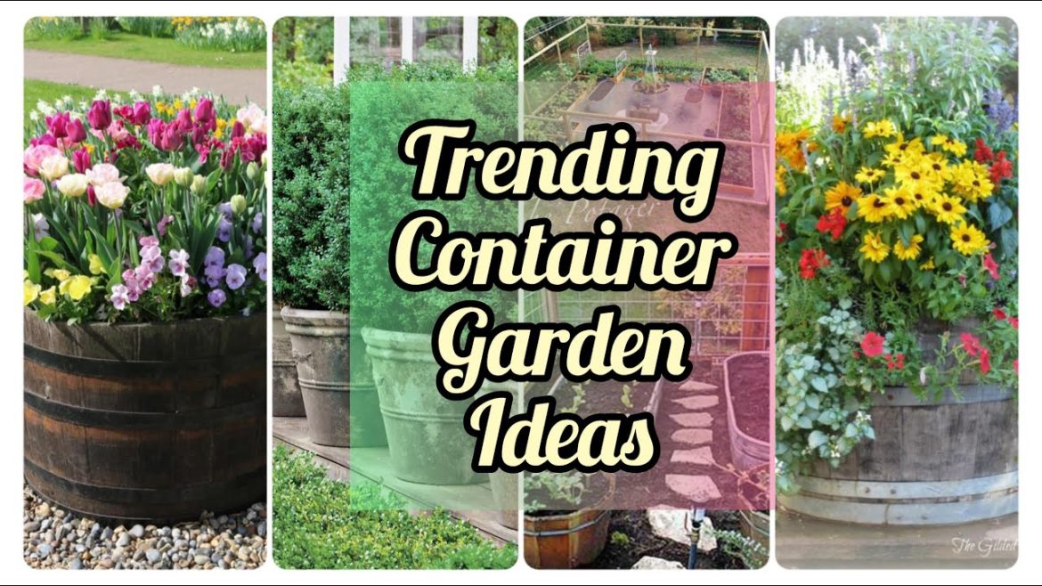 CONTAINER GARDENING IDEAS FOR BEGINNERS | Garden Aesthetic