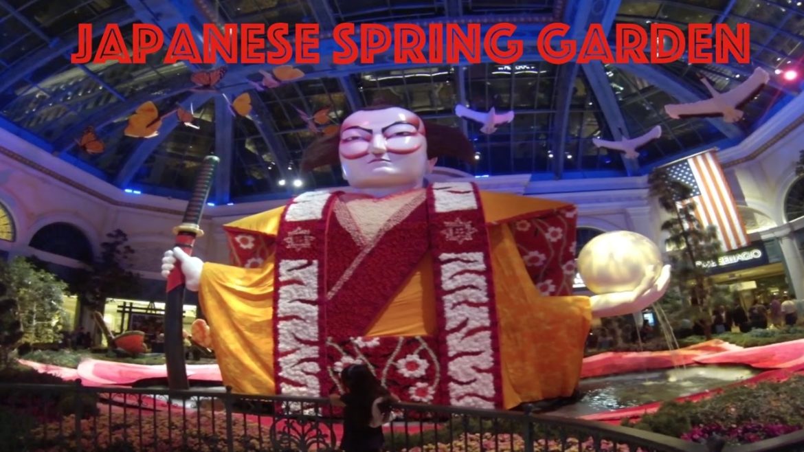 Bellagio Conservatory & Botanical Gardens: Japanese Spring Garden 2017 Bellagio Conservatory & Botanical Gardens: Japanese Spring Garden 2017