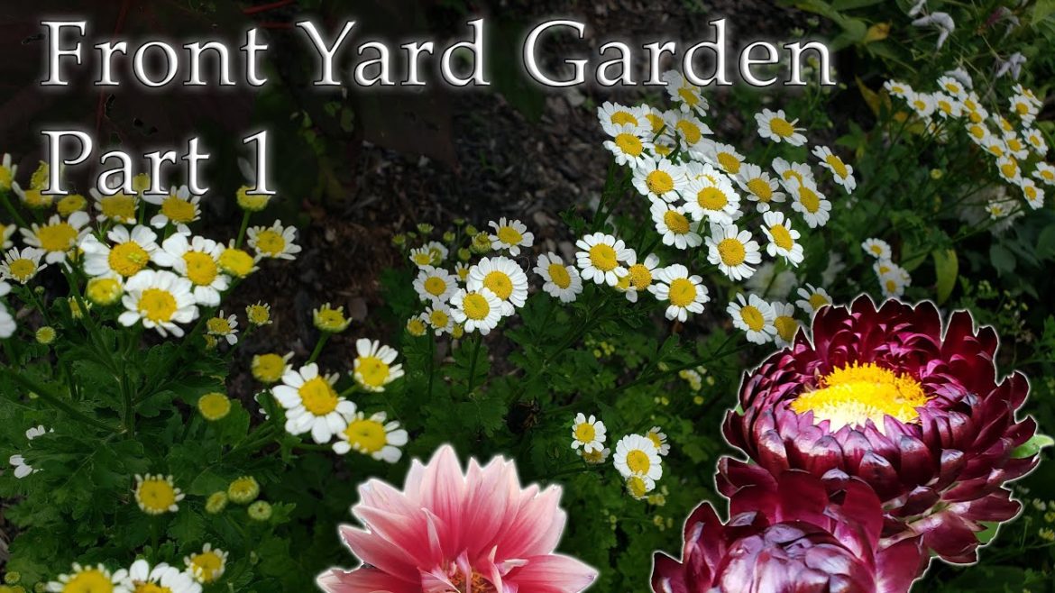 Front Yard Garden Tour Part 2 | Lots of Plants