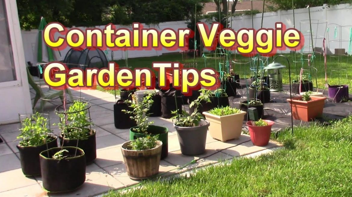 How to Start a Summer Vegetable Container Garden Tips