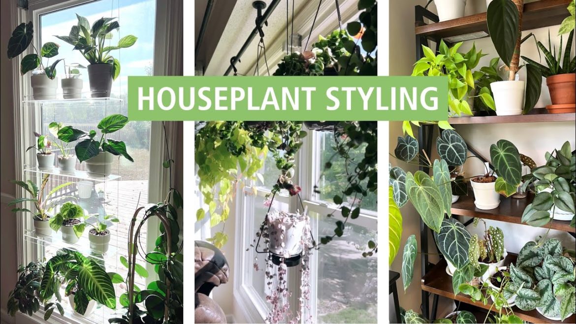 Houseplant Styling and Decorating with Me! Tips and Products to Keep Plants Organized