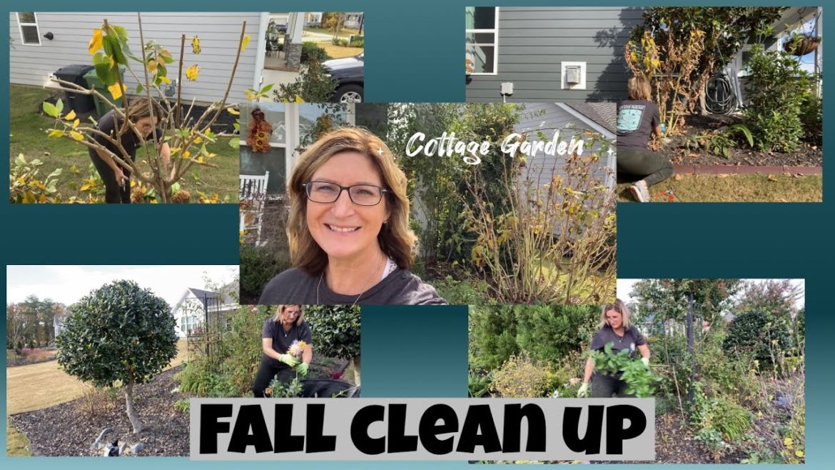 FALL 2022 COTTAGE GARDEN TOUR AND CLEAN UP: CUTTING BACK HARDY HIBISCUS, DALIAS, NEPETA, AND OTHERS!
