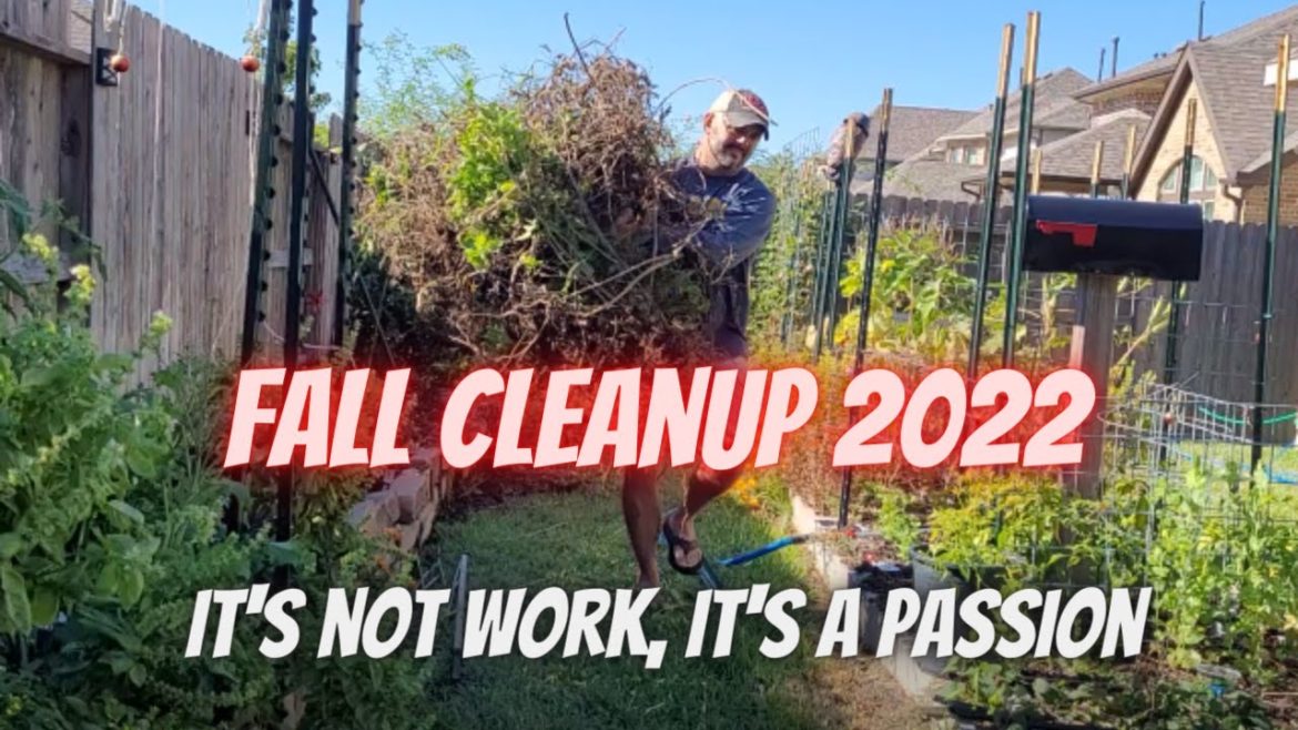 Fall 2022 Cleanup || Down-Home Backyard Gardening Fall 2022 Cleanup || Down-Home Backyard Gardening
