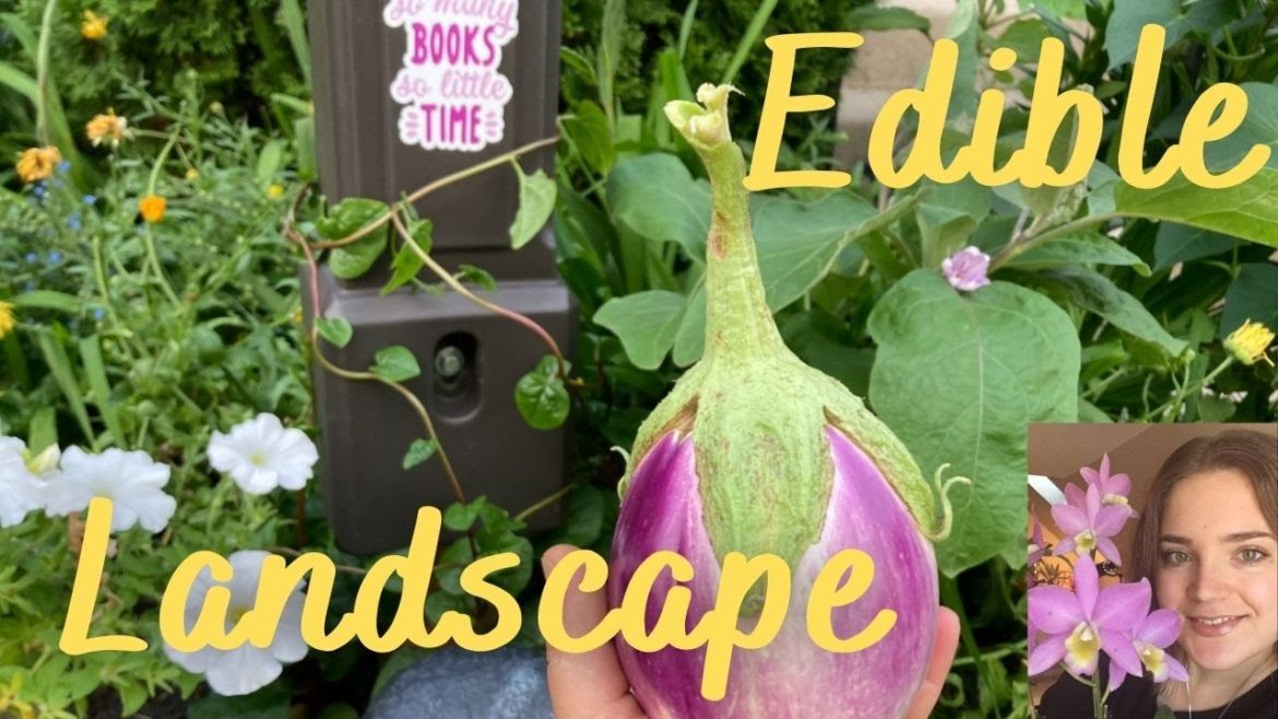 Edible Landscape Ideas | How to mix vegetables with flowers