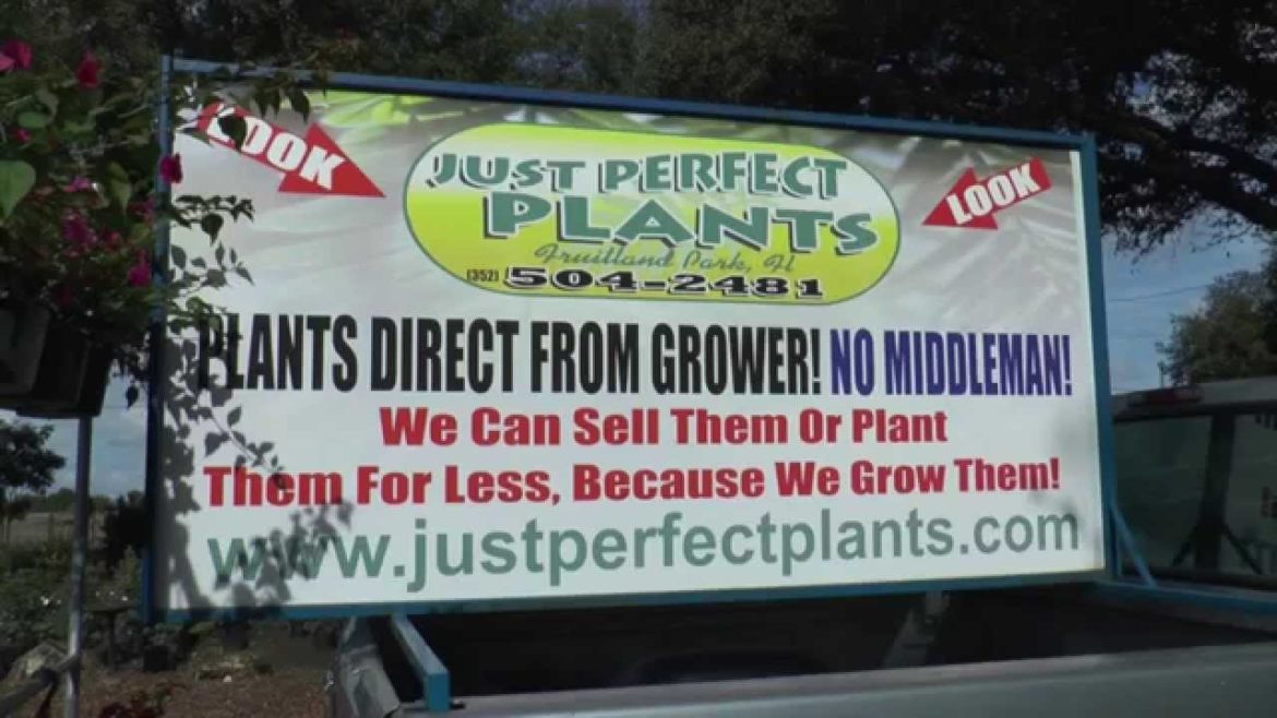 Leesburg Nursery and Gardening Center – Florida Friendly Plants Leesburg Nursery and Gardening Center - Florida Friendly Plants