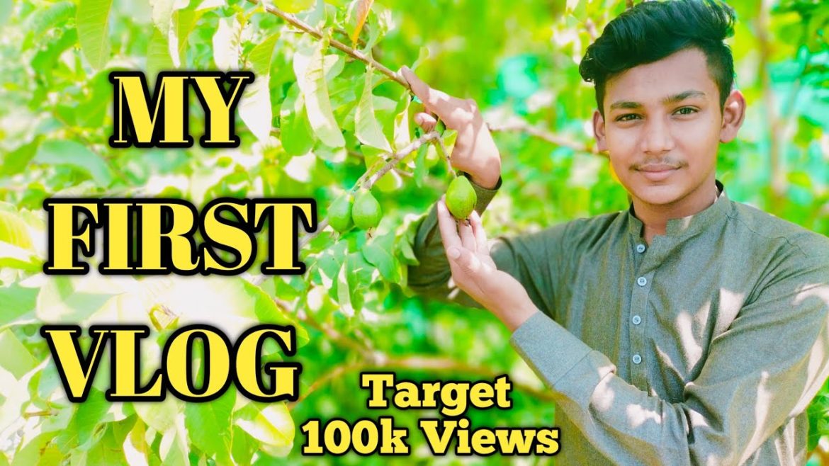 grow your own guava plant at home