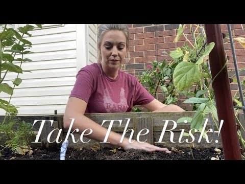 Planting Seeds and Taking Risks! Garden Tips and Tricks Planting Seeds and Taking Risks! Garden Tips and Tricks