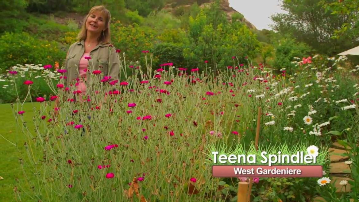 Gardenieres: The Edible Garden