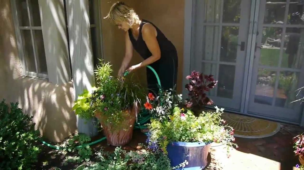 Four Season Garden Design landscaping Santa Fe New Mexico