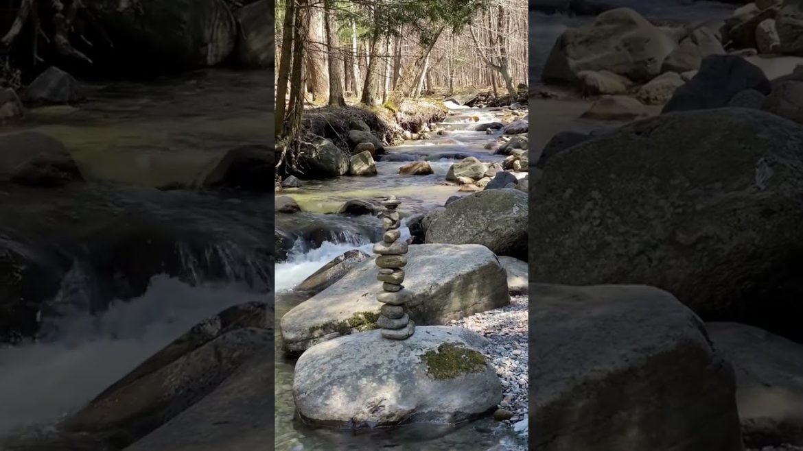 Beautiful Nature and River flow | Also for Studying & Focus | White Noise Relaxing River-short video