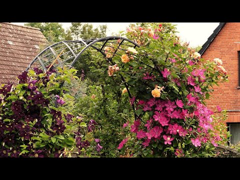🌺Красивые сады Идеи для ландшафтного дизайна / Landscaping Ideas / A – Video 🌺Красивые сады Идеи для ландшафтного дизайна / Landscaping Ideas / A - Video