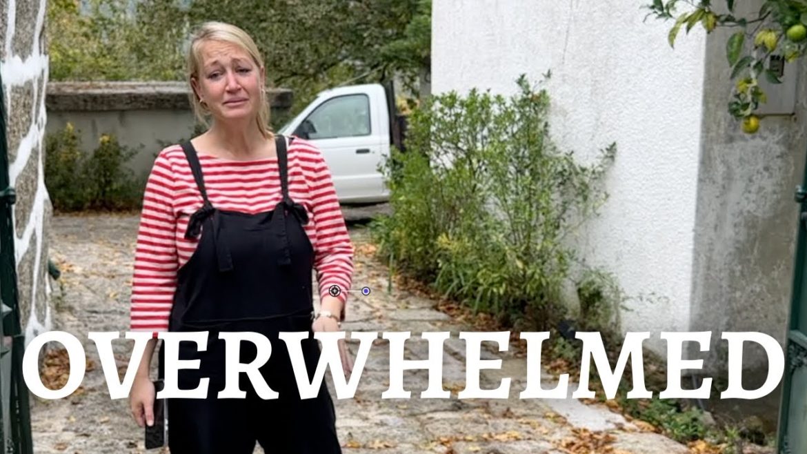 Our Portugal Farm renovation goes horribly WRONG | Can we fix this?