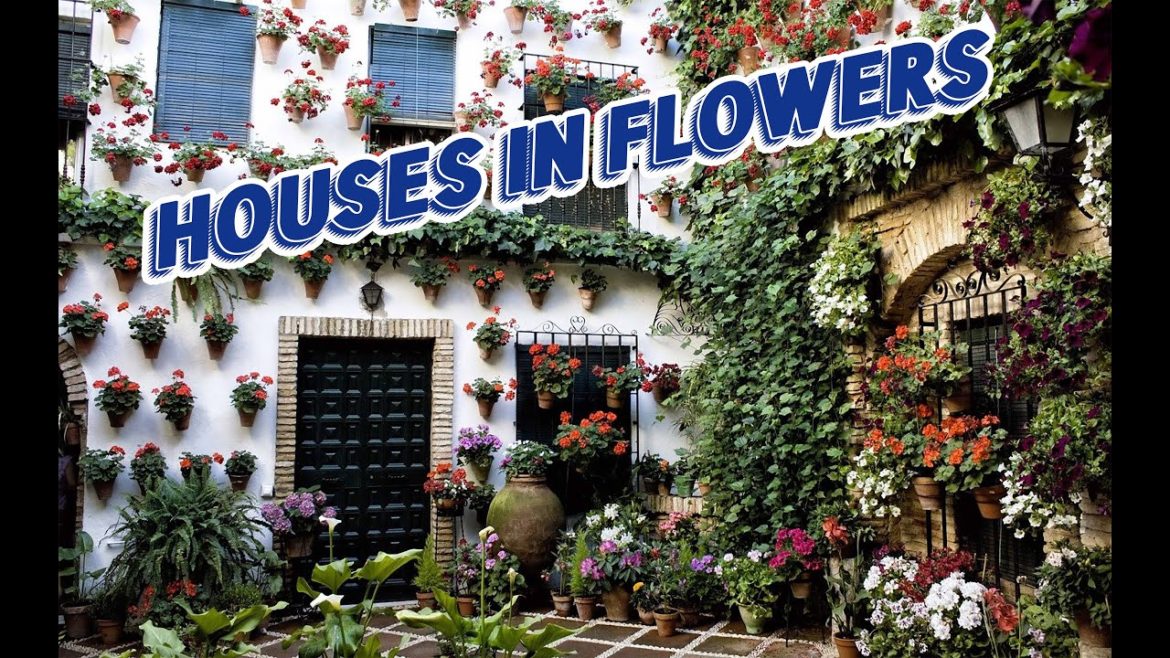 landscape | Houses in flowers | The most beautiful houses in the world landscape | Houses in flowers | The most beautiful houses in the world