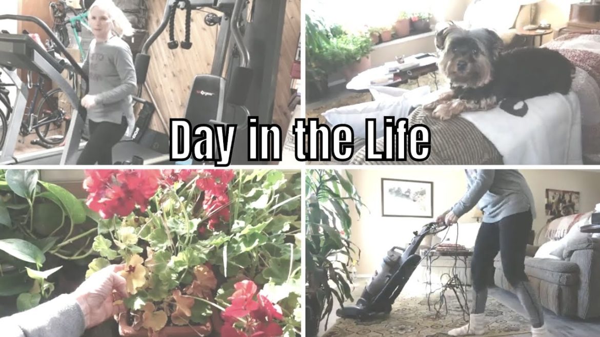 Getting It All Done: Cleaning, Self Care, Indoor Gardening Getting It All Done: Cleaning, Self Care, Indoor Gardening